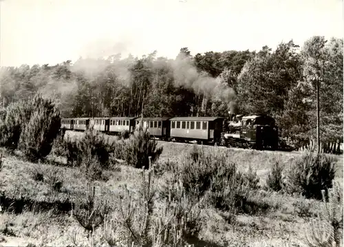 Schmalspurbahn Putbus - Göhren -409134