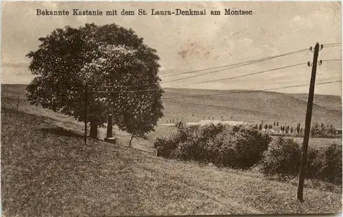 Bekannte Kastanie mit dem St. Laura Denkmal am Montsec - Feldpost -410646
