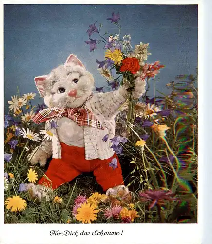 Diehl Puppe - Pussy -409936