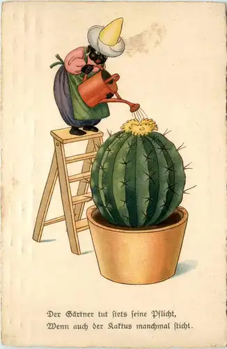 Kaktus Humor -410284