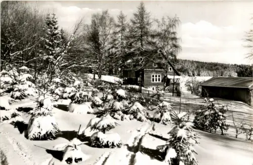 PENSION TIMMERMANN 3541Rattlar/Wald -285482