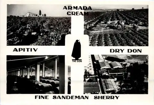 Jerez de la Frontera - Fine Sandman Sherry -410346