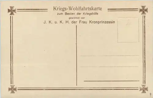 Die Söhne unseres Kronprinzenpaares in Feldgrau -411688