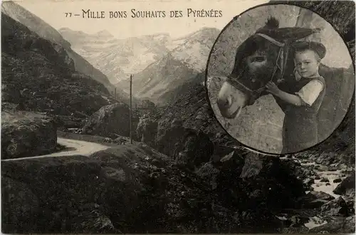 Mille Bons Souhaits des Pyrenees -410898