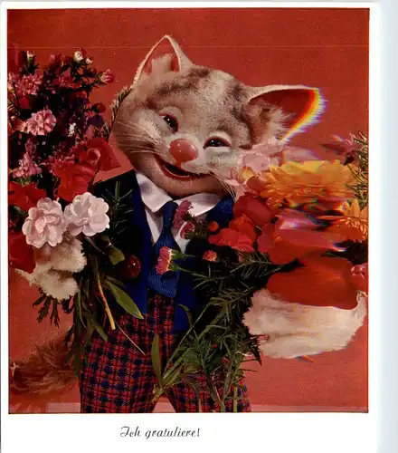 Diehl Puppe - Pussy -409948