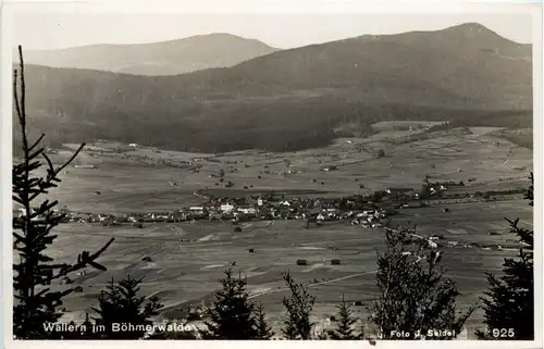 Wallern am Böhmerwalde -286754