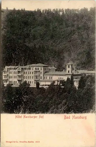 Bad Harzburg - Hotel Harzburger Hof -287040