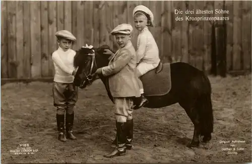 Die drei ältestens Söhne des Kronprinzenpaarees - Pony -411672