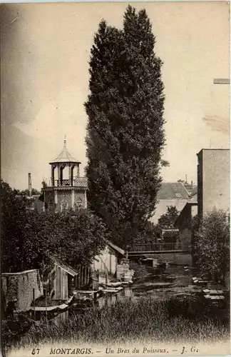 Montargis - Un Bras du Puiseaux - Loiret -411412