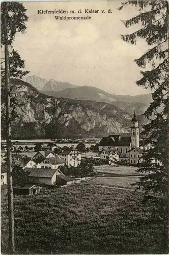 Oberbayern/ div. Orte und Umgebung - Kiefersfelden, mit dem Kaiser v.d. Waldpromenade -338230