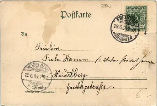 Freiburg i.Br. - Münsterbeleuchtung -338950