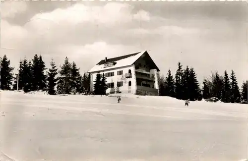 Obb/Bayern/Wendelstein/ div.Orte und Umgebung - Gruss aus Erbendorf, Steinwaldhaus -339348