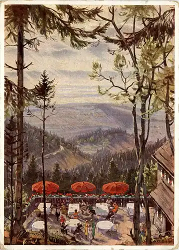 Freiburg - Schauinslandbahn, Terrasse des Berghotels -339512