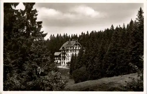 Todtnau - Waldhotel am Notschrei Schwarzwald -339506