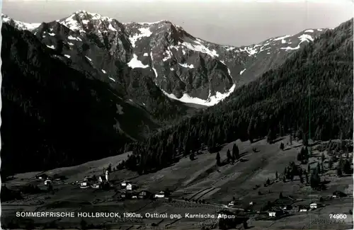 Sommerfrische Hollbruck gegen Karnische Alpen -351940