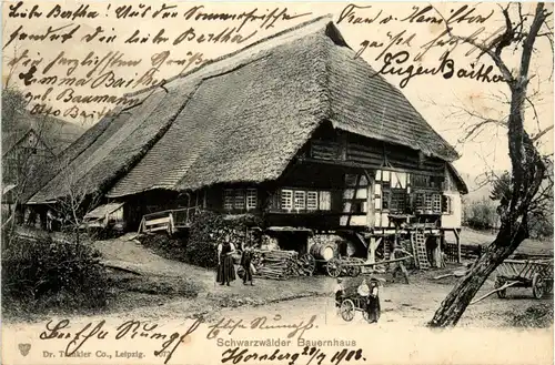 Schwarzwälder Bauernhaus -289838