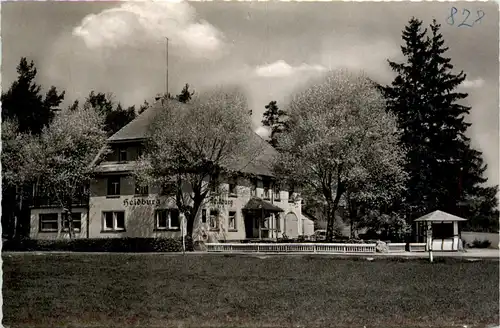 Ba-Wü/Schwarzwald/Freiburg/div.Orte und Umgebung - Elzach, Schwarzwald, Gasthaus Heidburg -339538