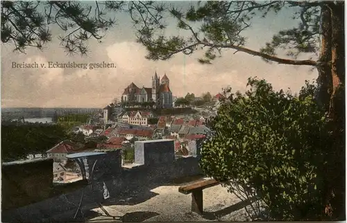 Ba-Wü/ Breisach - vom Eckardsberg gesehen -339680