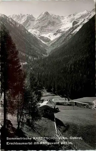 Kartitsch, Erschbaumertal mit Königswand -351982