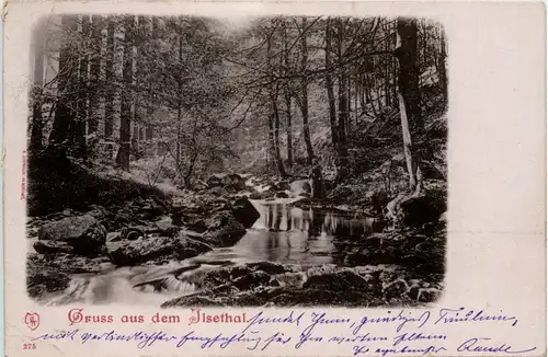 Gruss aus dem Ilsenthal -70454