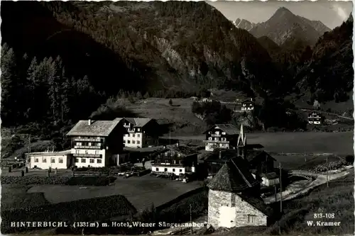 Osttirol, Sommerfrische Hinterbichl , Hotel Wiener Sängerknaben -350908