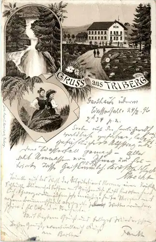 Gruss aus Triberg - Litho 1896 -71434