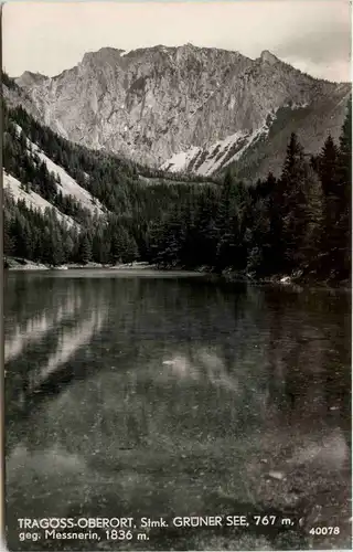 Tragöss-Oberort/Steiermark und Umgebung - Grüner See gegen Messnerin -325604