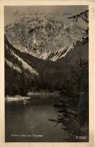 Tragöss-Oberort/Steiermark und Umgebung - Grüner See -325624