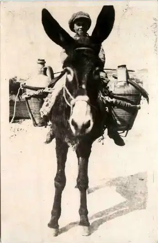 Taormina Esel -72522