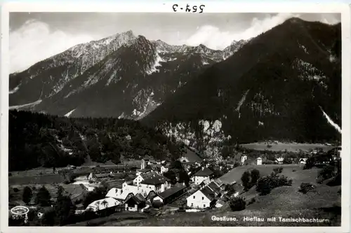 Hieflau, mit Tamischbachturm -353324