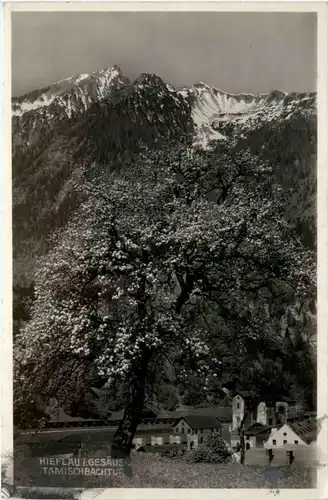 Hieflau im Gesäuse, Tamischbachturm -353334