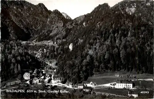 Wildalpen, Gasthof Koller -353048