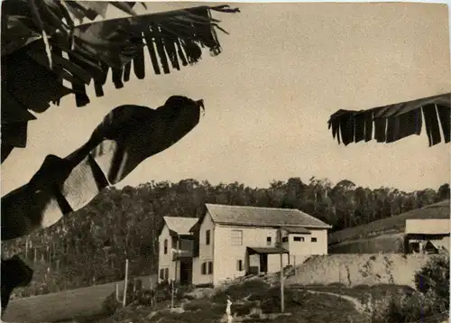 Brasilien - Deutsche Klinik im Urwald von Elpirito Santo -72816