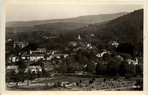 Bad Sauerbrunn -353924