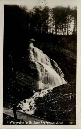 Hatlesgraben im Gesäuse bei Hieflau -353438