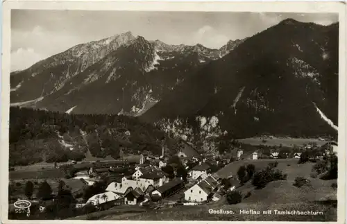 Hieflau mit Tamischbachturm -353256