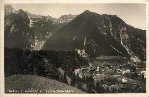 Hieflau im Gesäuse, mit Tamischbachturm -353276