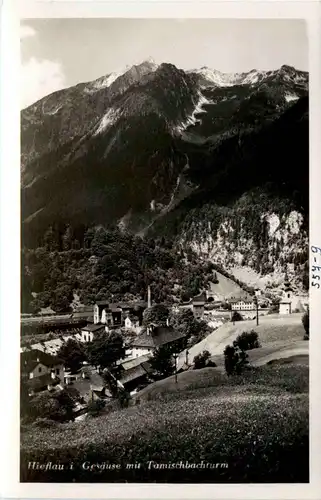 Hieflau im Gesäuse, mit Tamischbachturm -353296