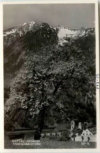 Hieflau im Gesäuse, Tamischbachturm -353336