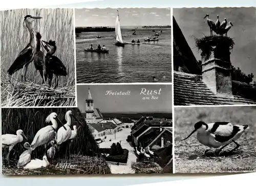Freistadt Rust, div.Bilder -354248