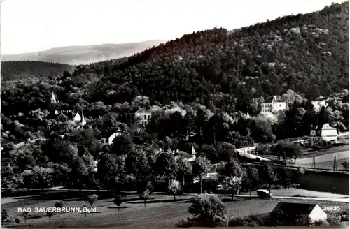 Bad Sauerbrunn -353938