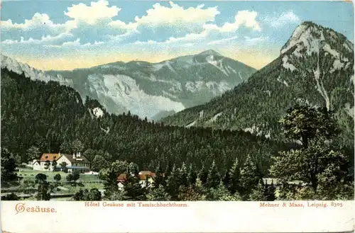 Gesäuse, Hotel Gesäuse mit Tamischbachturm -353490