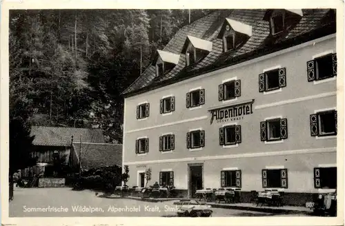 Sommerfrische Wildalpen, Alpenhotel Kraft -355204