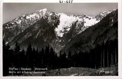 Hieflau im Gesäuse, Motiv mit d. Tamischbachturm -353306