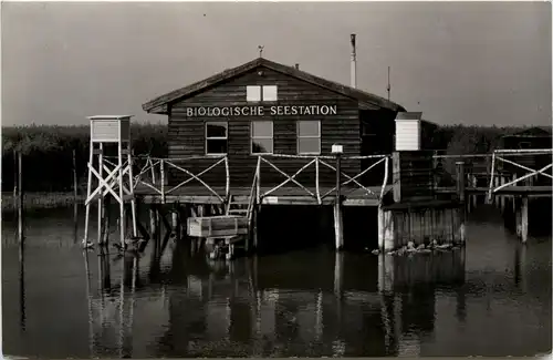 Seebad Neusiedl am See, -354056