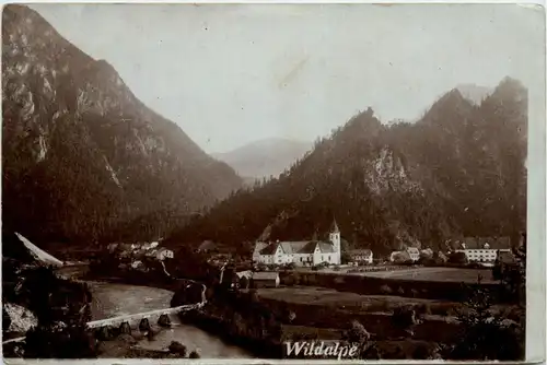 Wildalpe -354778