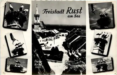 Freistadt Rust, div.Bilder -354496