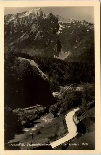 Erzbach mit Tamischbachturm bei Hieflau -353142