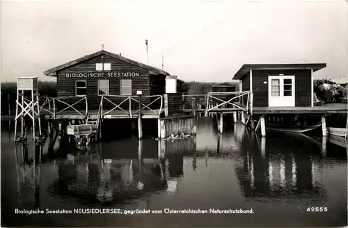 Seebad Neusiedl am See, Biologische Seestation -354066