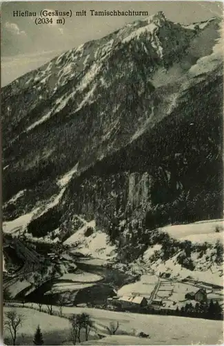 Hieflau mit Tamischbachturm -353262